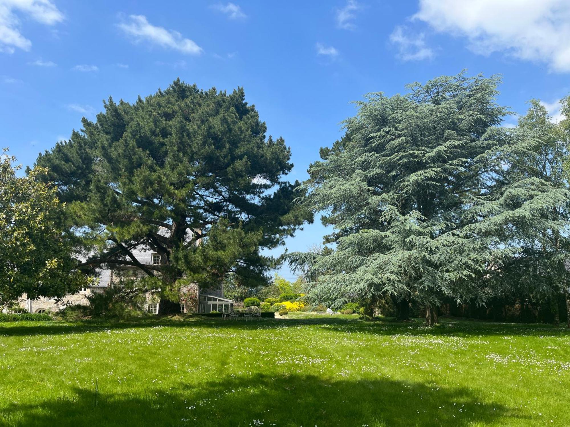 Manoir Des Bords De Rance Bed & Breakfast Plouër-sur-Rance Dış mekan fotoğraf