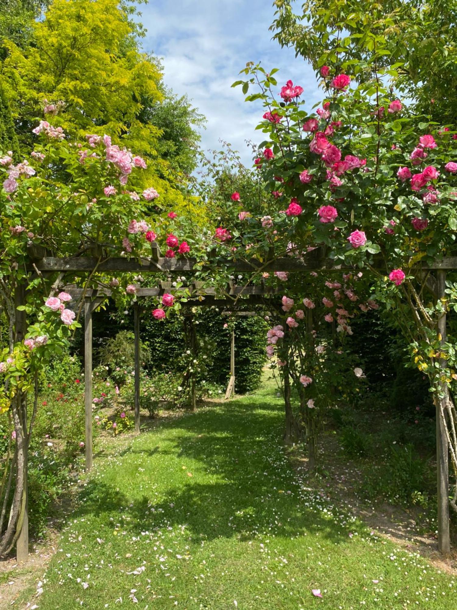 Manoir Des Bords De Rance Bed & Breakfast Plouër-sur-Rance Dış mekan fotoğraf