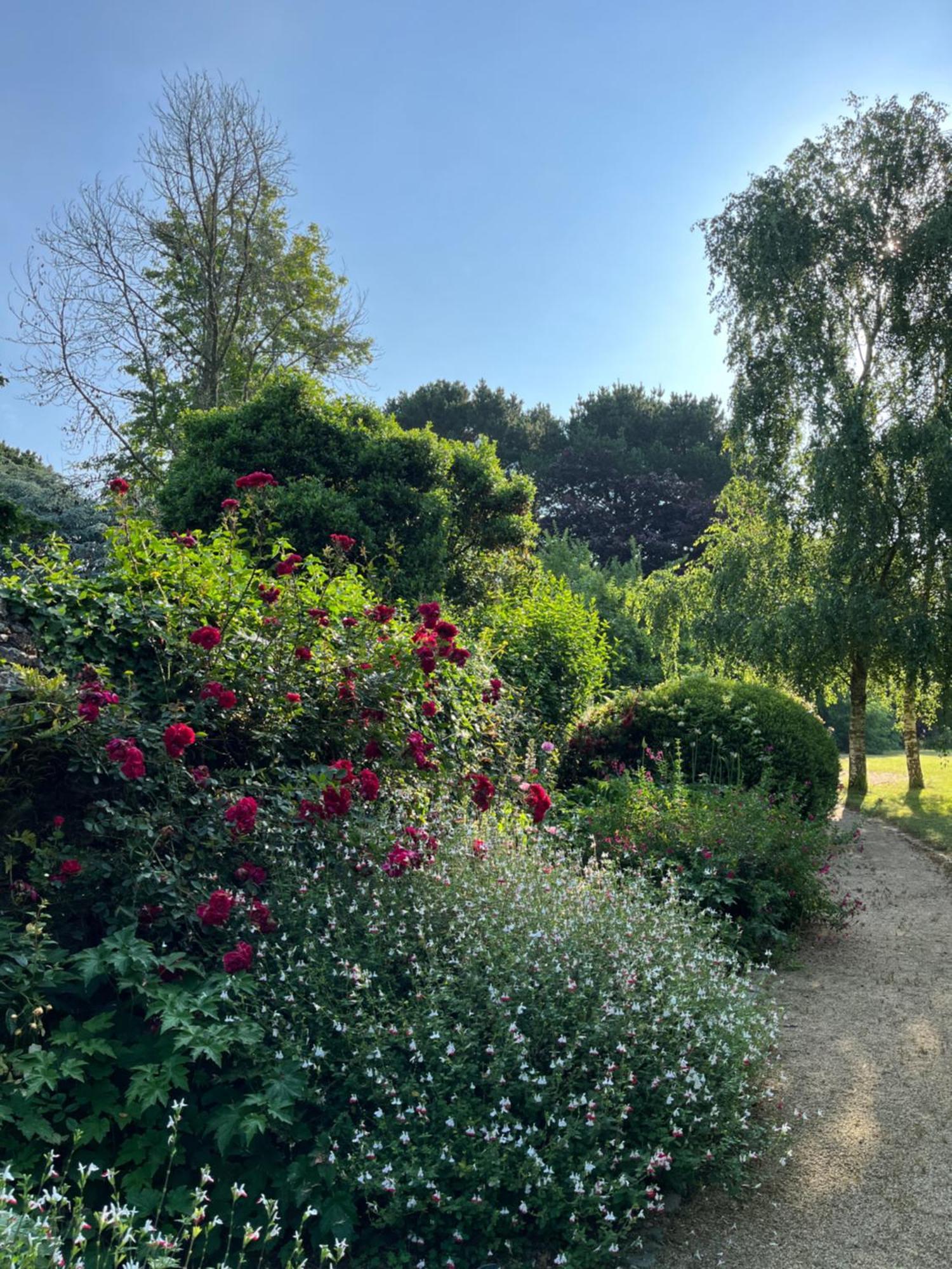 Manoir Des Bords De Rance Bed & Breakfast Plouër-sur-Rance Dış mekan fotoğraf